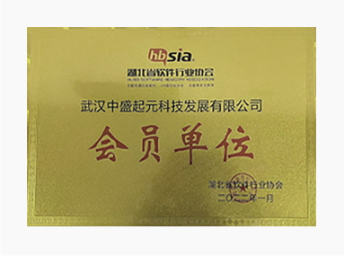 武汉中盛起元科技发展有限公司